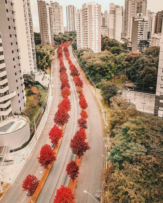 rua do outono rua do outono